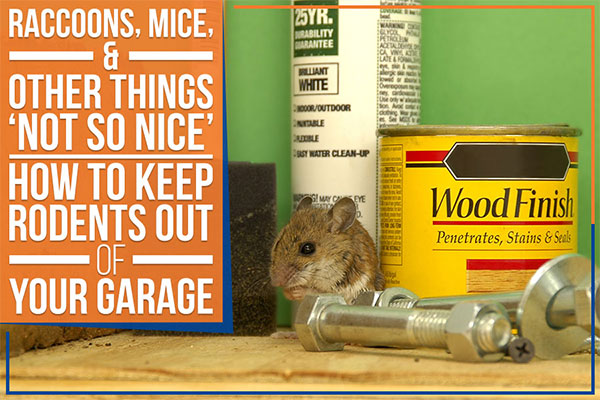 Raccoons, Mice, & Other Things ‘Not So Nice’ – How To Keep Rodents Out Of Your Garage Raccoons Mice Other Things Not So Nice How To Keep Rodents Out Of Your Garage